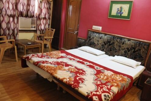 Hariyali Palace Hotel, Udaipur 3